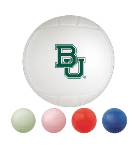 Mini Volleyballs