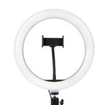 10" LED Ring Light With Phone Holder