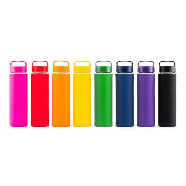 Main Product Image for 20 Oz Lulumax Glass Water Bottle With Silicone Grip