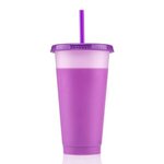 24 oz Chameleon Tumbler -  Purple