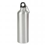 25 oz. Aluminum Alpine Bottle - Silver