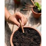 Alternate product view #4