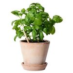 Alternate product view #8