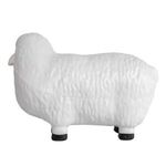 Alternate product view #5