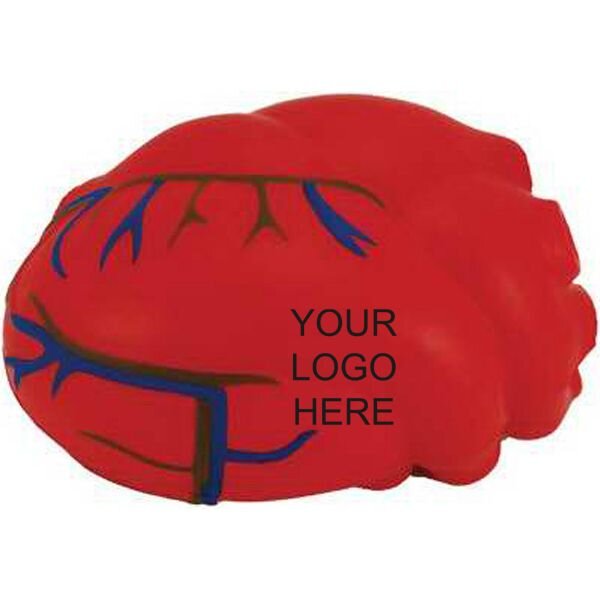 Main Product Image for Custom Printed Anatomical Heart Stress reliever