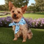 Alternate product view #3