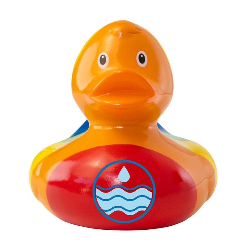 Main Product Image for Custom Logo Rainbow Duck