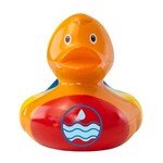 Buy Custom Logo Rainbow Duck