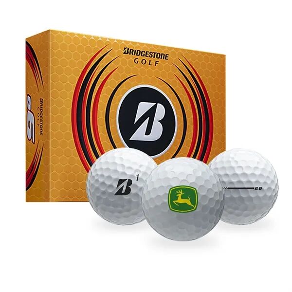 Main Product Image for Custom Printed Bridgestone E6 Golf Balls