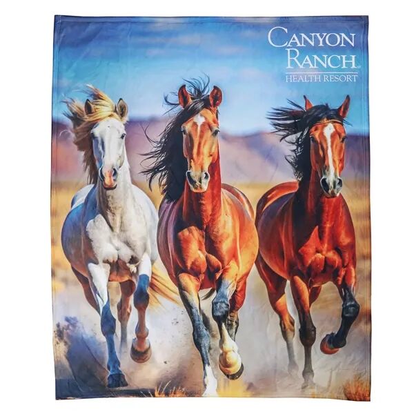 Main Product Image for Custom Printed Sublimated Ultra Plush Blanket