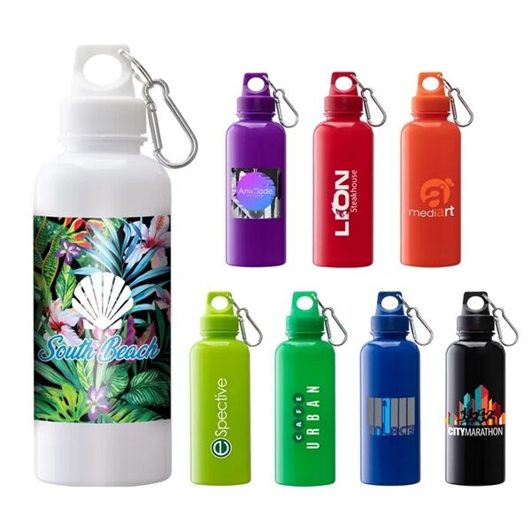 Main Product Image for Custom Printed Brio PS Water Bottle w/ Carabiner 20 Oz