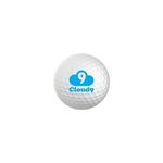 Buy Custom Logo 2 PC Surlyn Competition Golf Balls