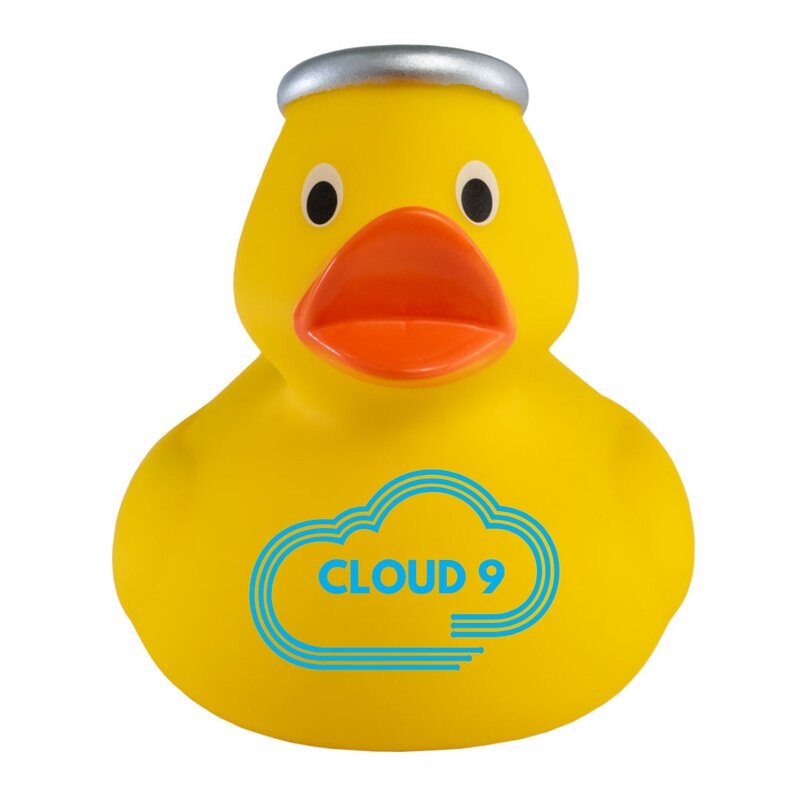 Main Product Image for Custom Printed Angel Duck