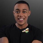 Blinky LED Horse Lapel Pin Lights -