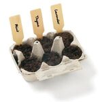 Cocktail Herb Seed Garden Grow Kit -  