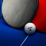 Custom Printed Ping Pong Balls -  