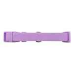 Custom Printed Springer Extra Large Dog Collar - Lilac