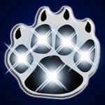 Flashing Paw Print Lights -  