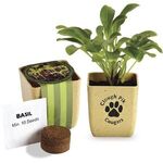 FLOWER POT SET WITH BASIL SEEDS