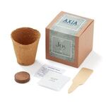 Buy Grow Some Joy Planter in Gift Box