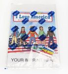 Buy I Love America Coloring And Activity Book Fun Pack