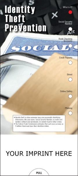 Main Product Image for IDentity Theft Prevention Slide Chart USA Made