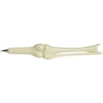 Knee Joint Pen -  