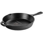 Buy Lodge (R) 10.25" Cast Iron Skillet