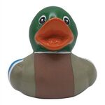 Mallard Duck -  