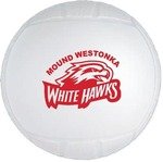 Mini Throw Soft Vinyl Volleyball - 4.5