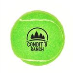 Pet Tennis Ball Toy -  