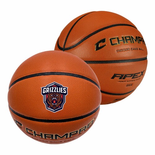 Main Product Image for Branded CHAMPRO Apex Basketball Full Size