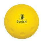 Pickle Ball Stress Ball -  