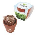 Seed Sensations Terracotta Pot