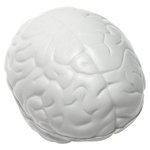 Slo-Release Serenity Squishy (TM) Brain -  