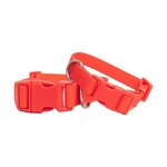 Springer Large Dog Collar -  