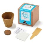 Buy Throat Chakra Growable in Kraft Gift Box