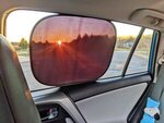 Umbra 4-Piece Car Sun Shade -  