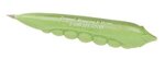 Buy Promotional Vegetable Pens: Peas In A Pod