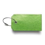 Venezia Sightseer Luggage Tag - Green-lime
