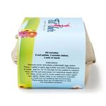 Wildflower Seed Garden Grow Kit -  