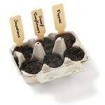 Wildflower Seed Garden Grow Kit -  