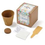 Buy Wildflower Seed Growable Planter Kit